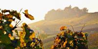 Ferien(s)pass - „Herbst“